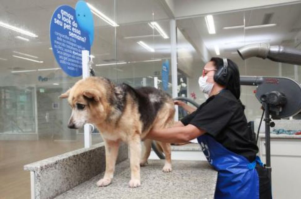 EMPRESA DEMONSTRAÇÃO CENTRO MANAUS PET SHOP E CLÍNICA VETERINÁRIA