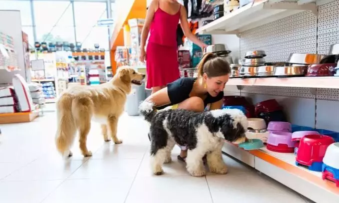 5 Melhores pet shops em Campo Grande